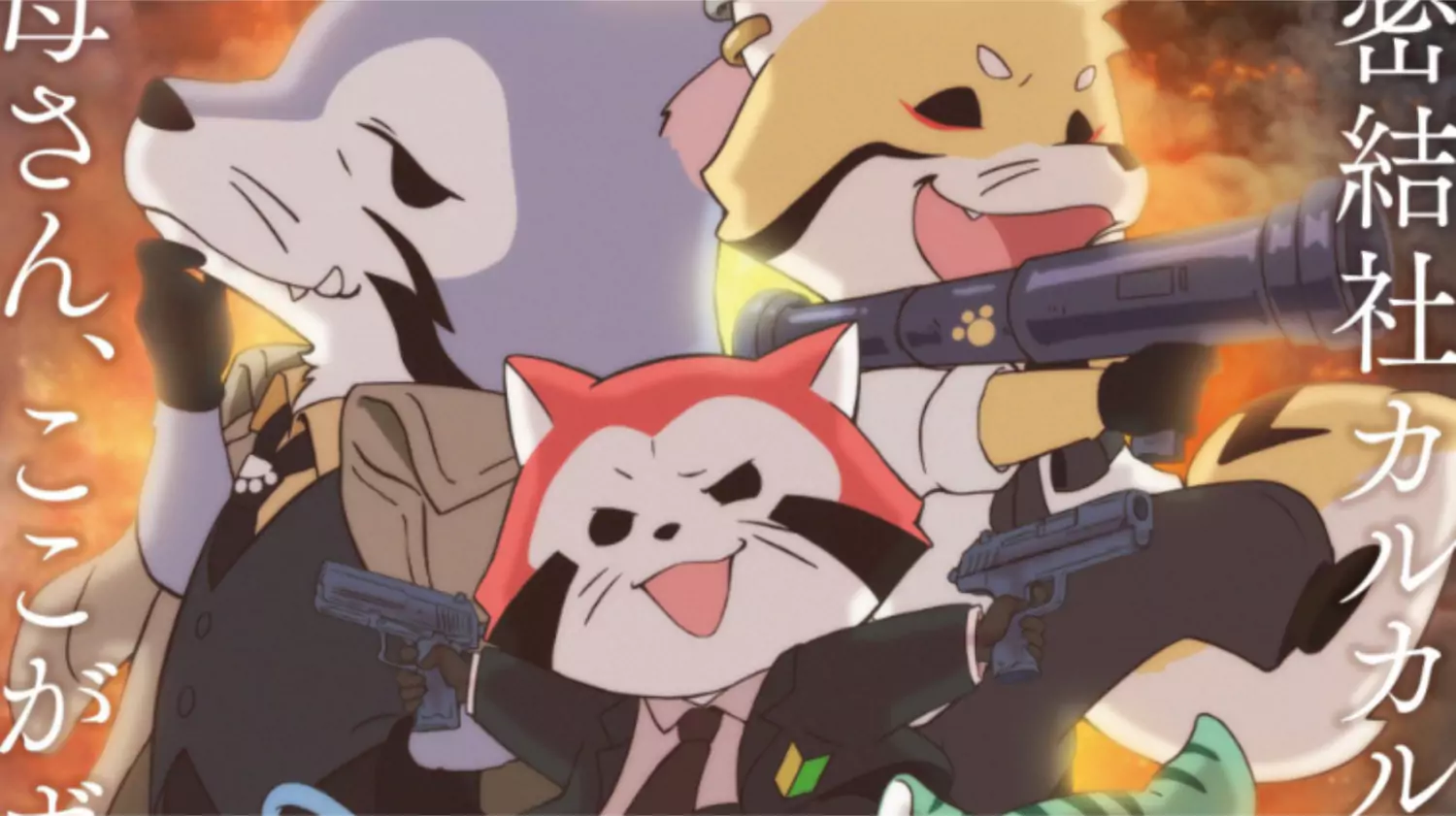 Spin-Off Rascal the Raccoon, Araiguma Calcal-dan, Rilis Key Visual dan Tayang April 2025